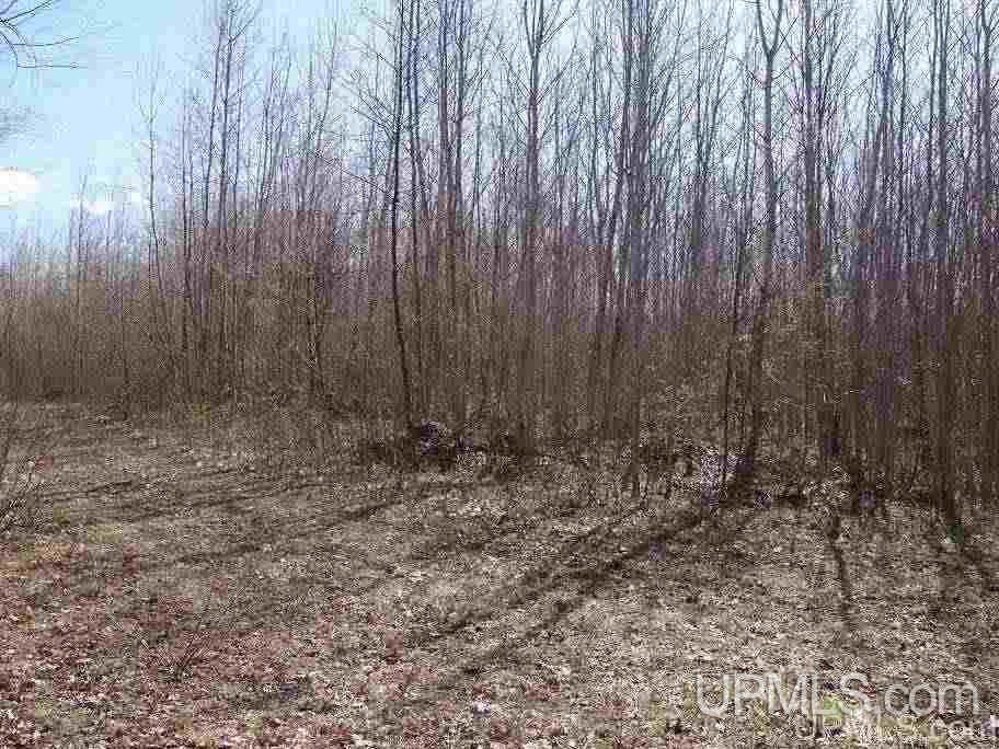 Tbd Off Ravine River Road Skanee, MI 49962 - Photo 18 of 20