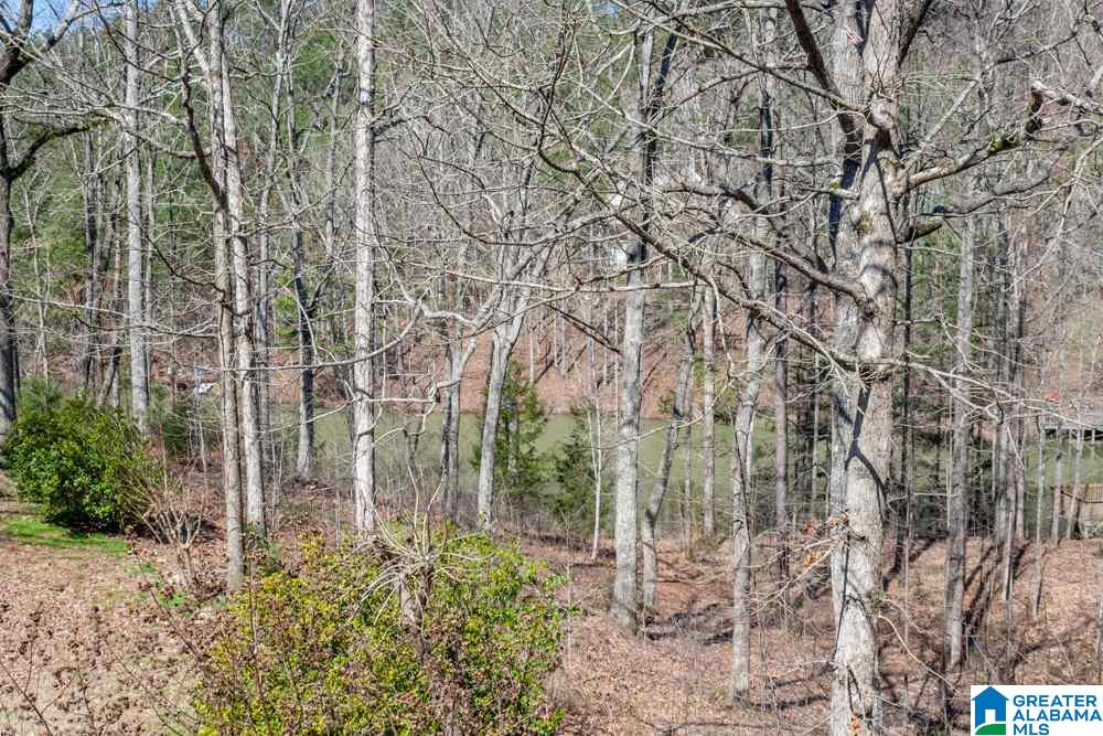 104 Hampton Lane Pelham, AL 35124 - Photo 50 of 50
