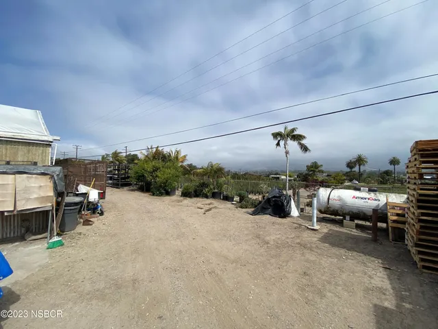 a room with lots of flowers in it