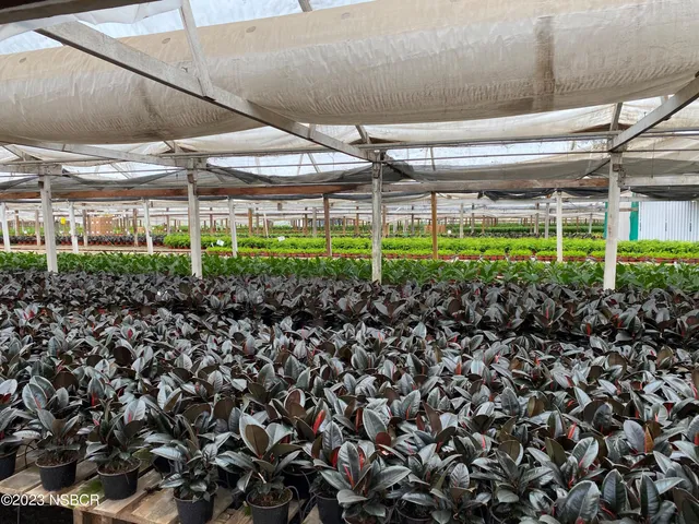 a view of outdoor space with city view