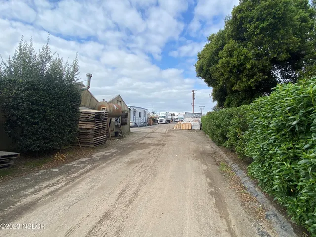 a backyard of a house with plants and large trees