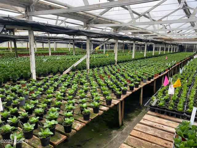 a view of a road with a yard in front of it