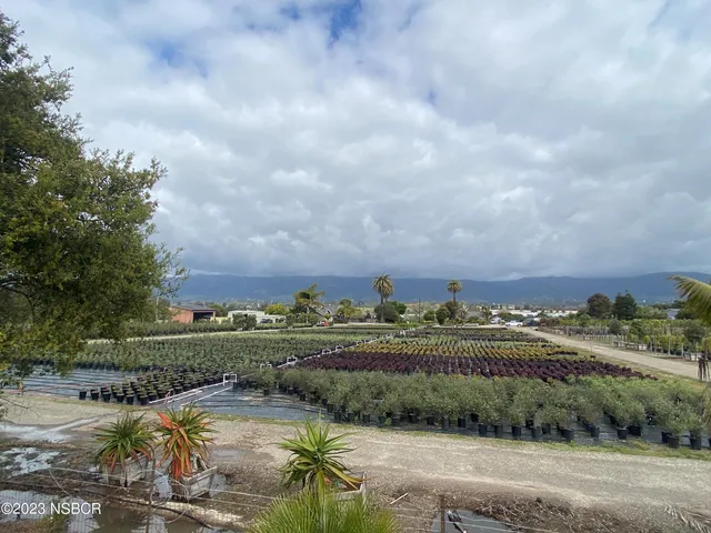 a view of a city street next to a yard