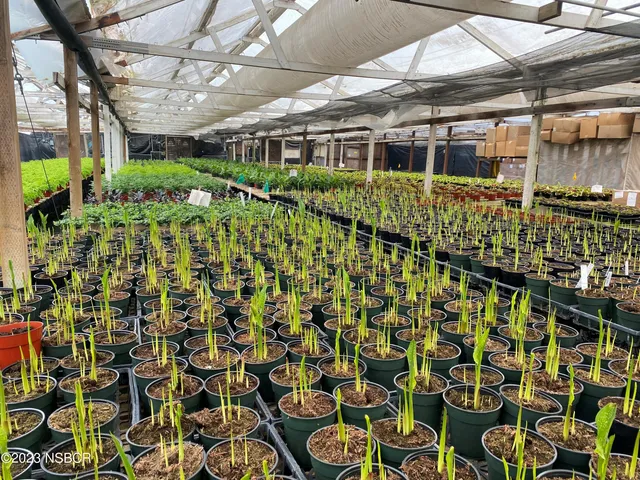 $4,850,000 | 1385 Anderson Lane, Santa Barbara, CA 93111