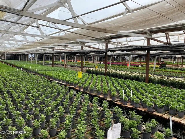 a view of a big room with plants