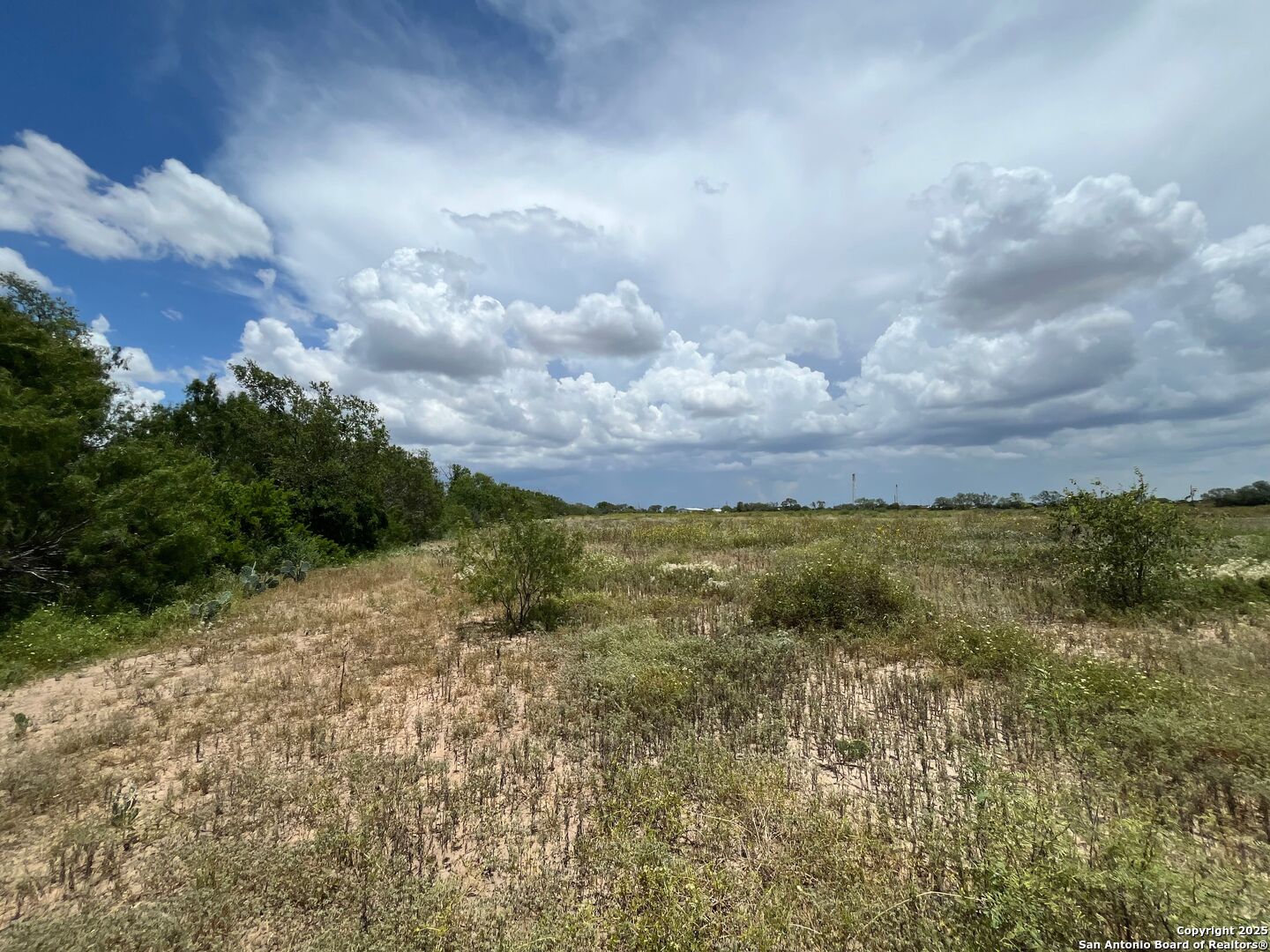 N/a County Road 7714, Unit 4 Devine, TX 78016 - Photo 5 of 10 a view of a lake in middle of forest