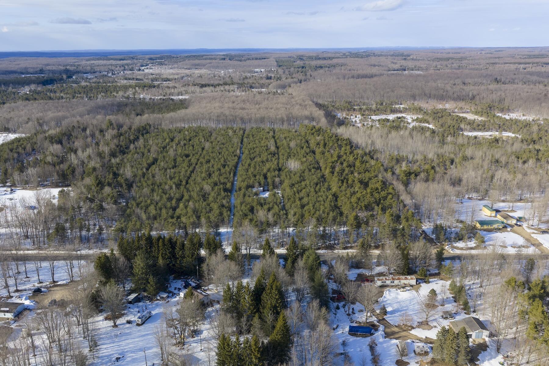 23444 Faylor Road Copemish, MI 49625 - Photo 2 of 13 DJI_20260327175343_0475_D