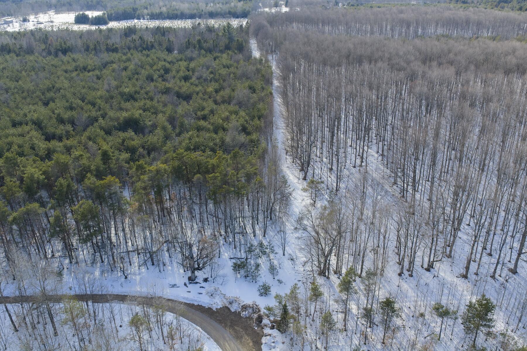 23444 Faylor Road Copemish, MI 49625 - Photo 9 of 13 DJI_20260327180627_0519_D