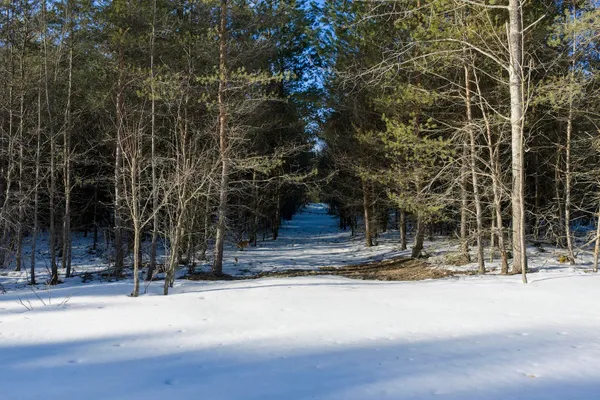 $164,900 | 23444 Faylor Road, Copemish, MI 49625