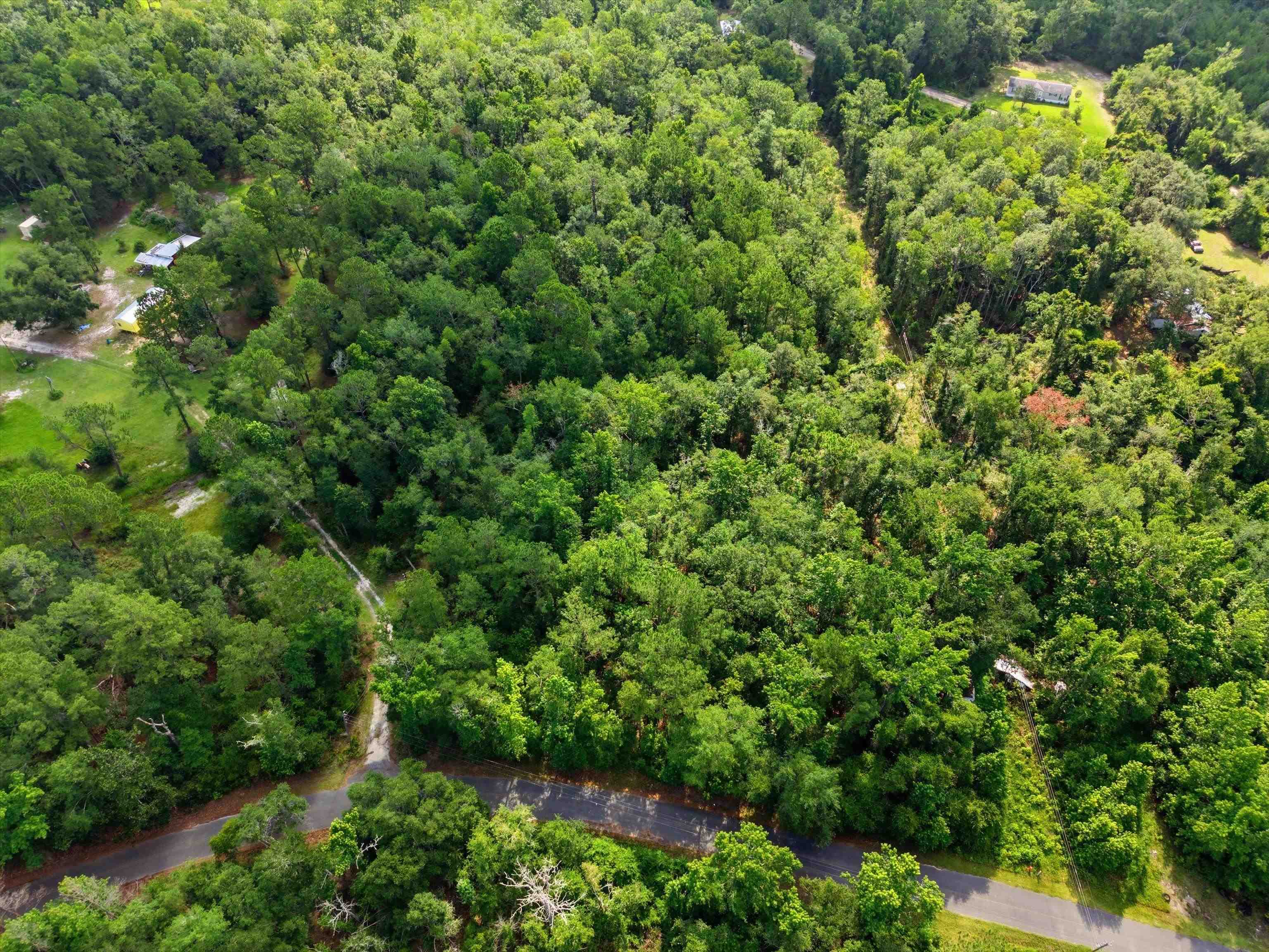 Xxx Neely Road Monticello, FL 32344 - Photo 14 of 37