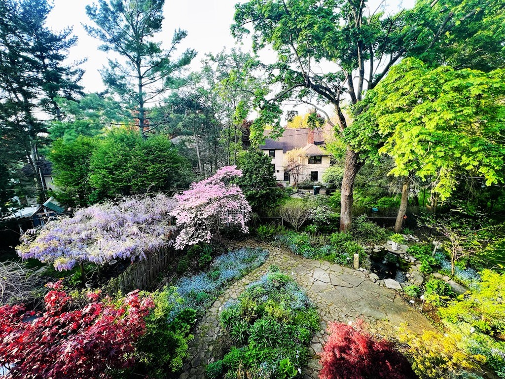 33 Castlebar Road Rochester, NY 14610 - Photo 3 of 50 Backyard