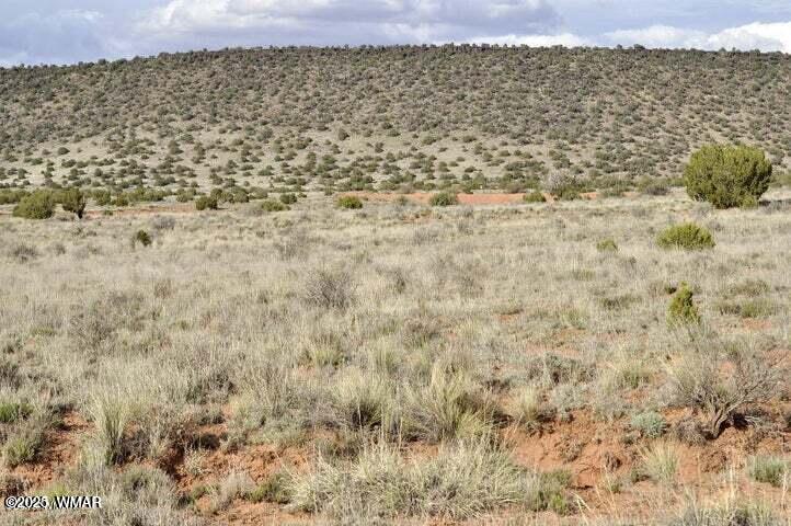 3871 Del Contento Snowflake, AZ 85937 - Photo 1 of 5 a view of a lake view
