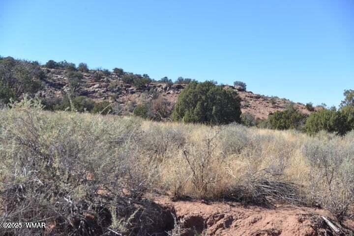 3871 Del Contento Snowflake, AZ 85937 - Photo 2 of 5 a view of a dry yard
