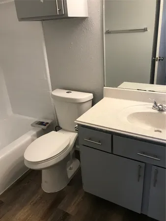 a bathroom with a toilet a sink and a mirror