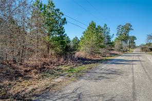 Tbd Cardinal Loop Paige, TX 78659 - Photo 3 of 5 a view of a yard with plants and a trees