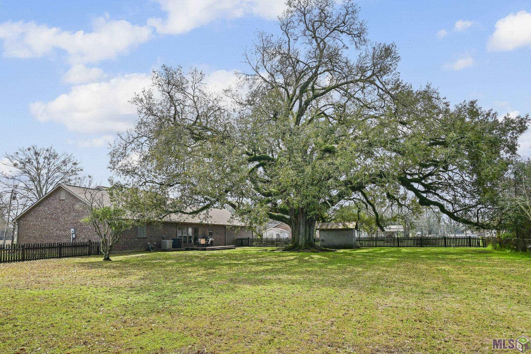 41255 Black Bayou Road Gonzales, LA 70737 - Photo 13 of 15