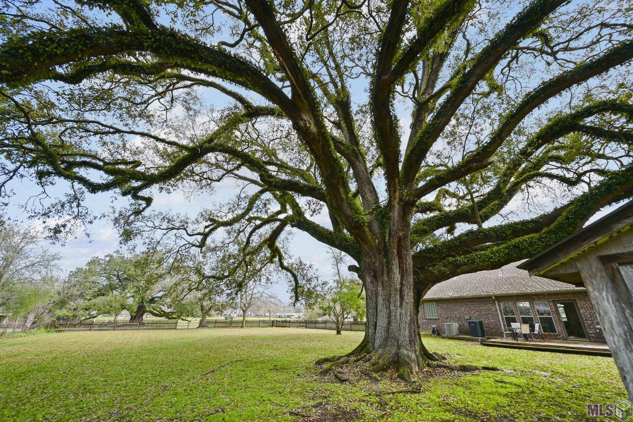 41255 Black Bayou Road Gonzales, LA 70737 - Photo 15 of 15