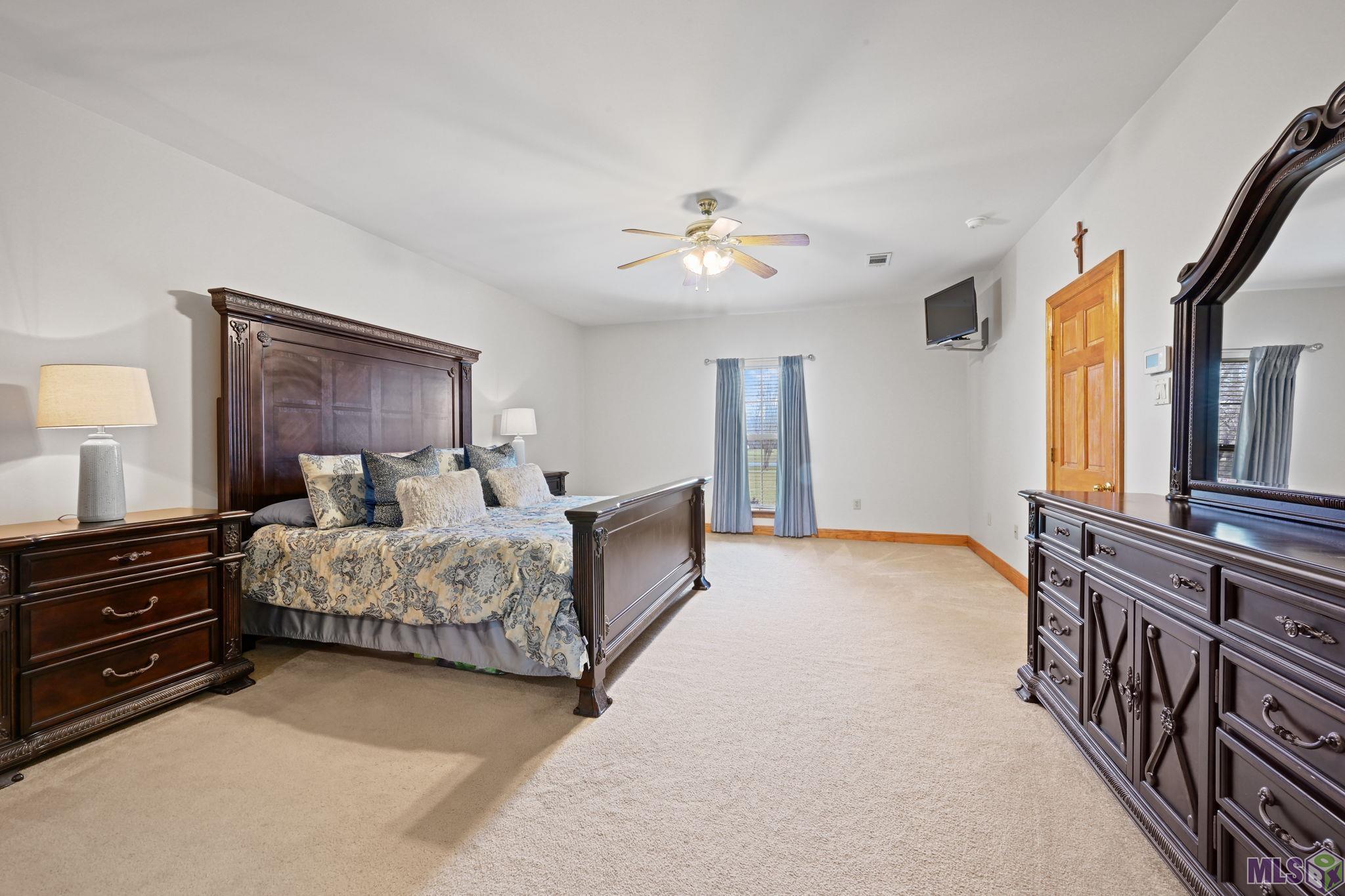 41255 Black Bayou Road Gonzales, LA 70737 - Photo 10 of 15