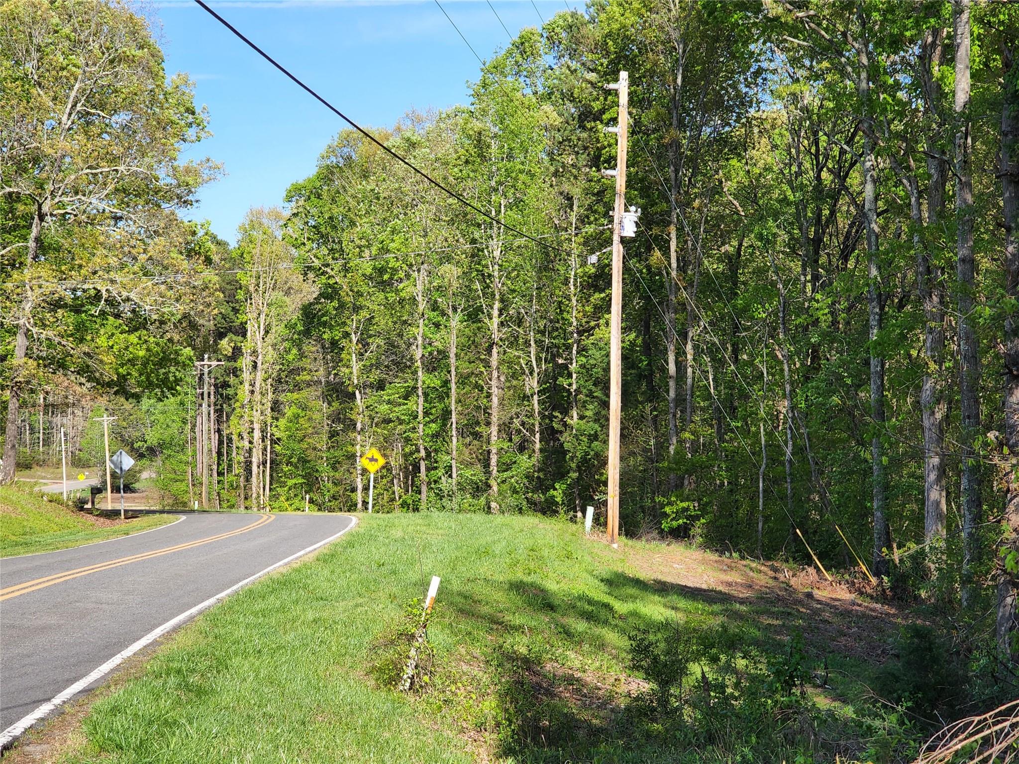 501 Unity Church Road Kings Mountain, NC 28086 - Photo 23 of 25 a view of a yard with plants and trees
