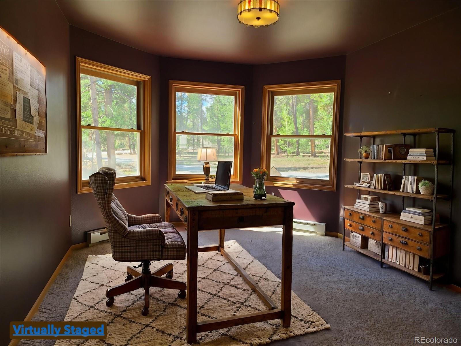 757 Thompson Park Road Fairplay, CO 80440 - Photo 5 of 34 Gallery Image 5