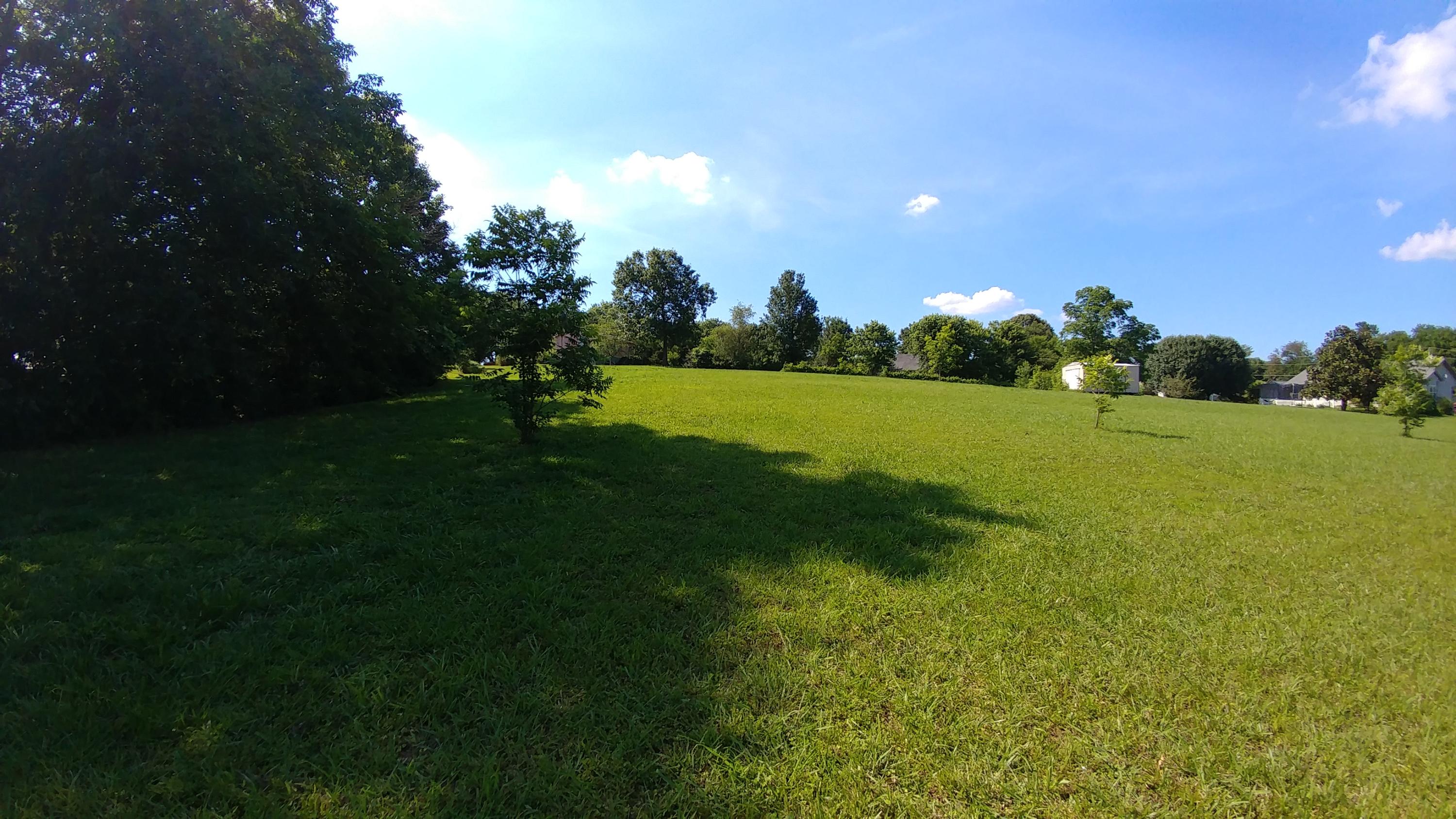 253 Oak Grove Road Madisonville, TN 37354 - Photo 6 of 12 0602171634_HDR
