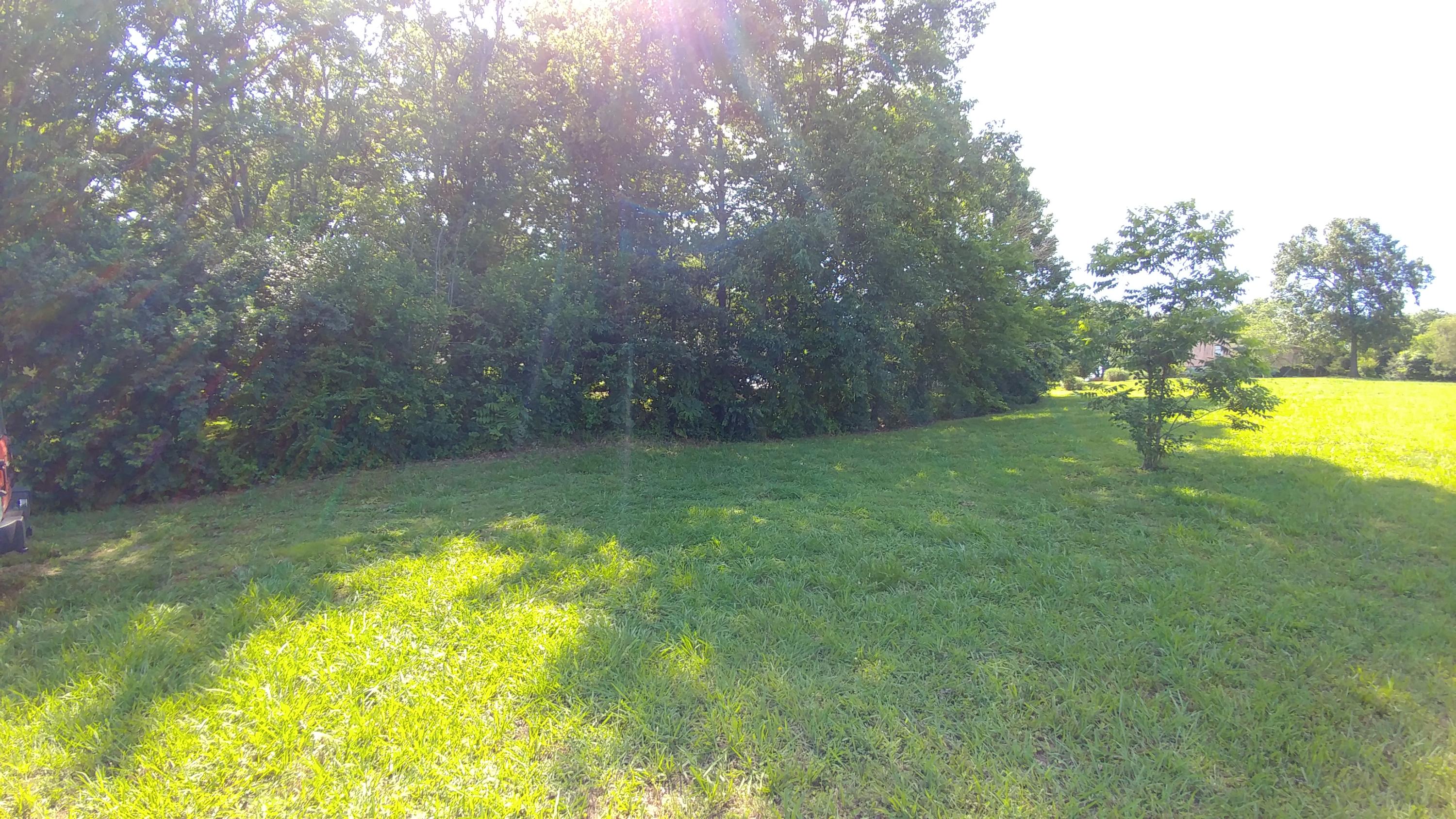 253 Oak Grove Road Madisonville, TN 37354 - Photo 8 of 12 0602171634a