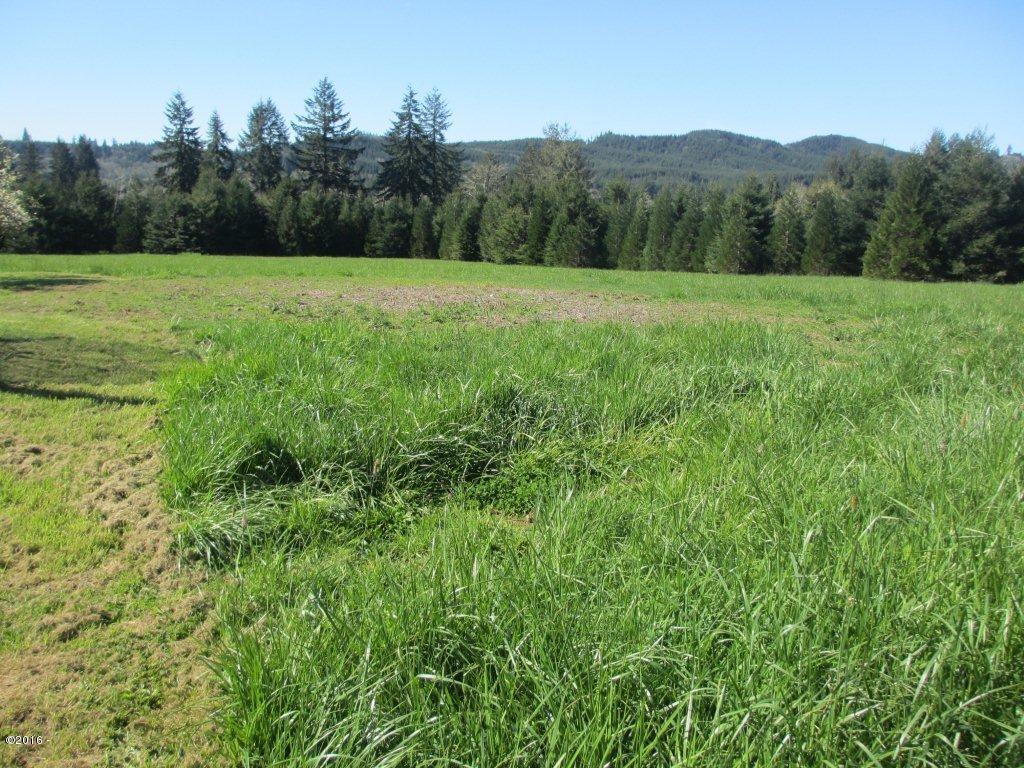 1230 Moonshine Park Road Logsden, OR 97357 - Photo 22 of 34 treed property line