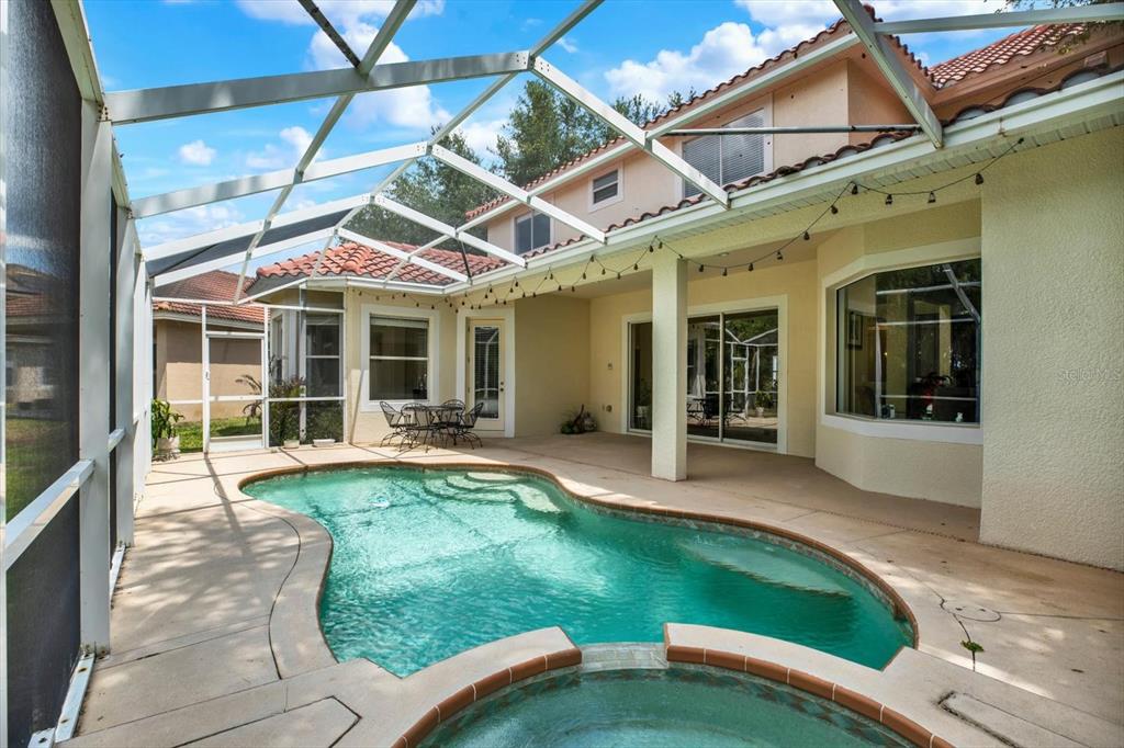 9137 Creedmoor Lane New Port Richey, FL 34654 - Photo 43 of 62