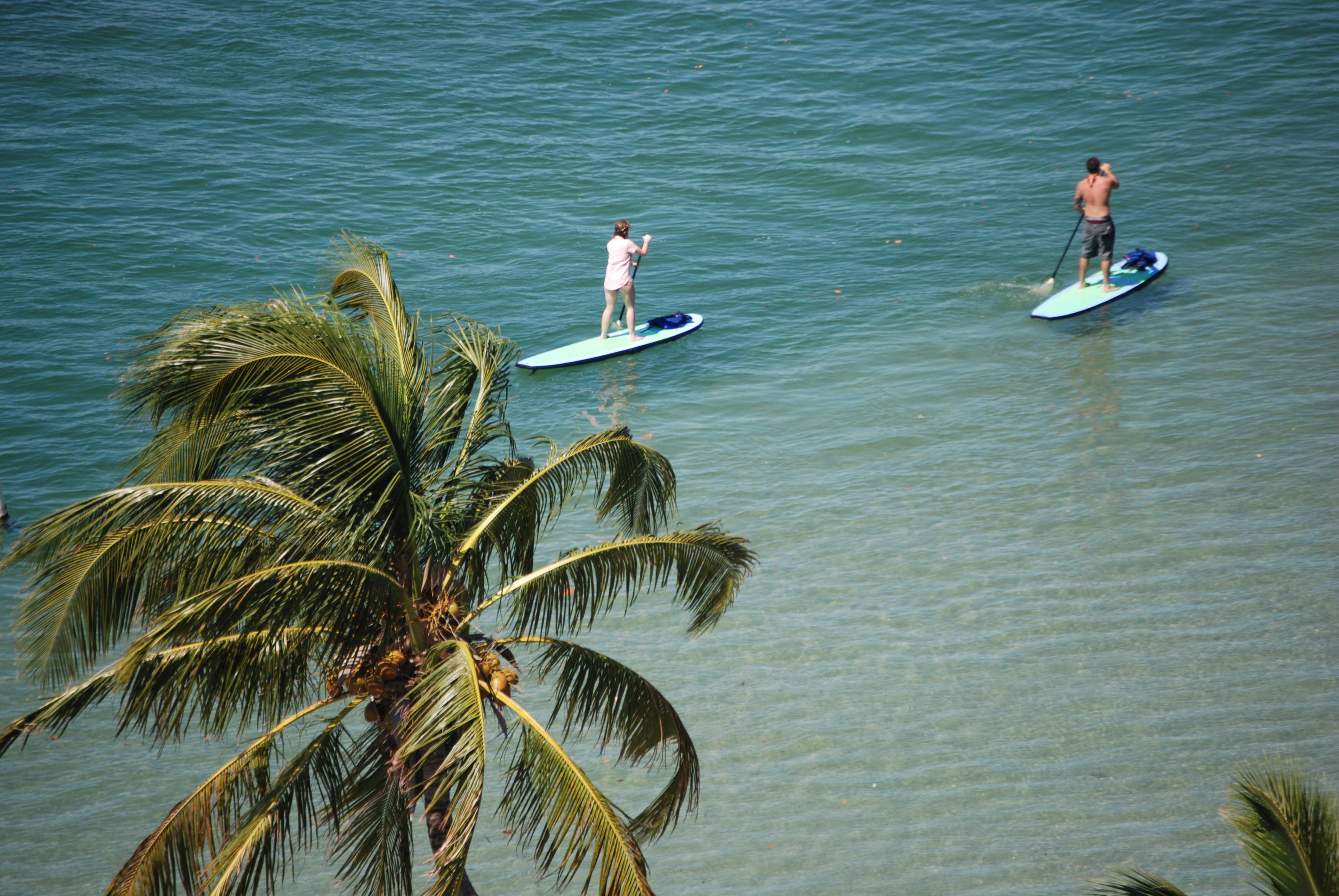 1507 Kingsley Road Tequesta, FL 33469 - Photo 64 of 67 Paddleboarder