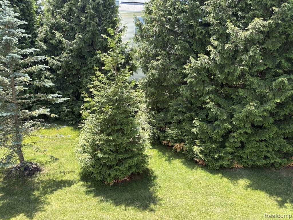 124 Champlain Boulevard Howell, MI 48843 - Photo 31 of 31 124-Champlain-Blvd-31.jpg