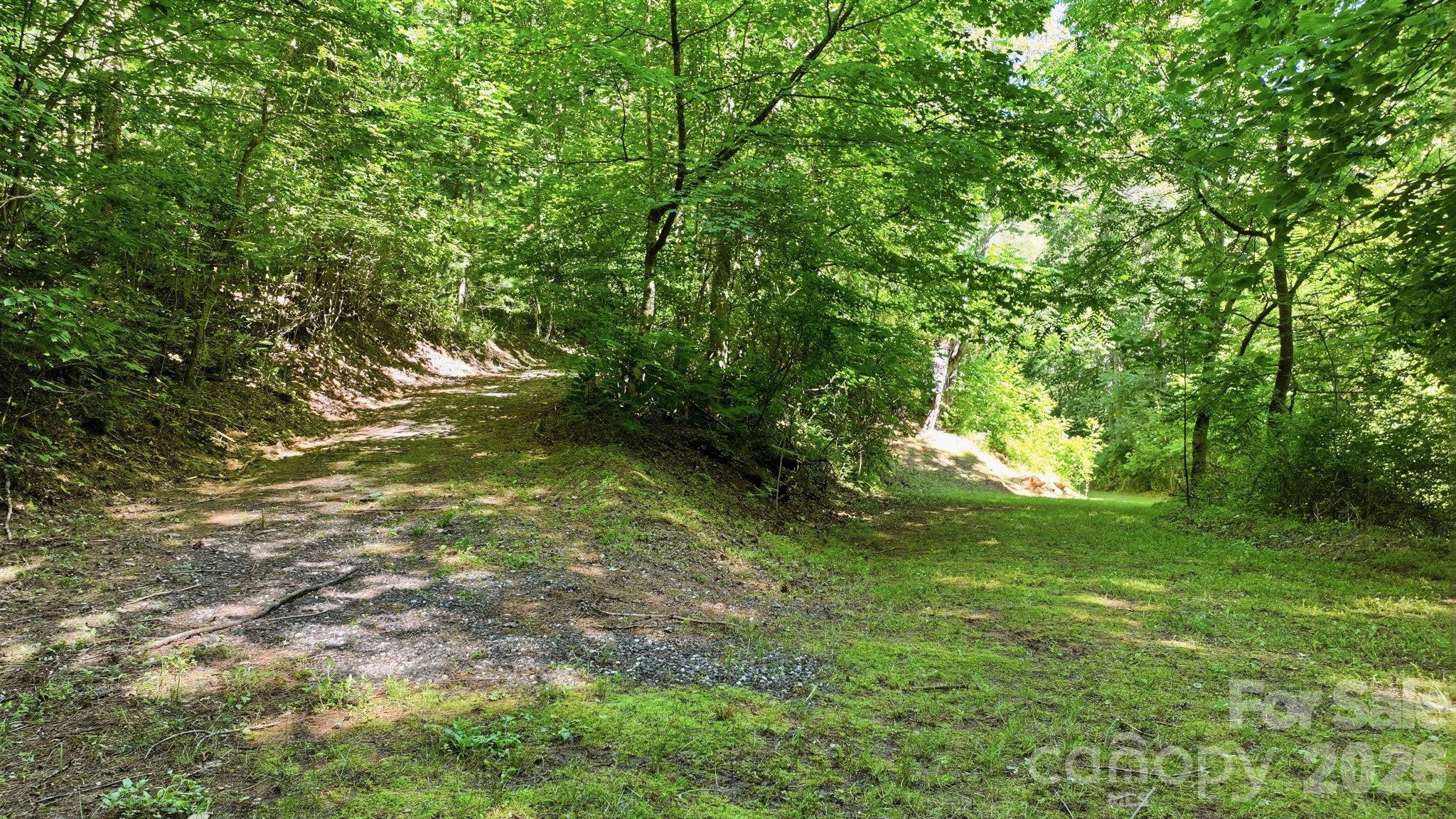 Tbd Dark Ridge Road Sylva, NC 28779 - Photo 6 of 17
