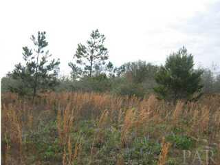 0 Red Barn Road Milton, FL 32583 - Photo 1 of 3 Gallery Image 1