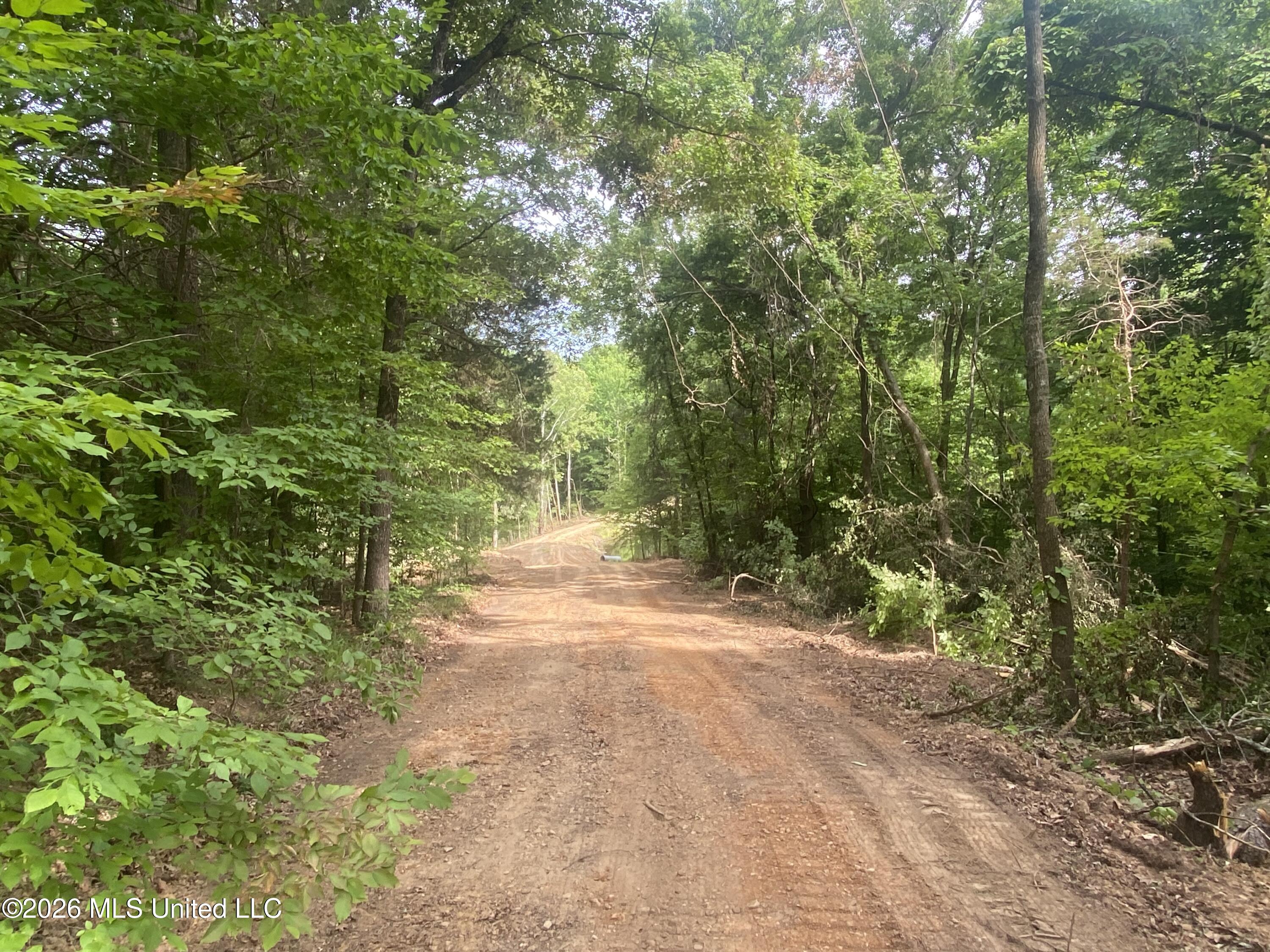 5317 Highway 3 Sarah, MS 38665 - Photo 23 of 28 IMG_7911