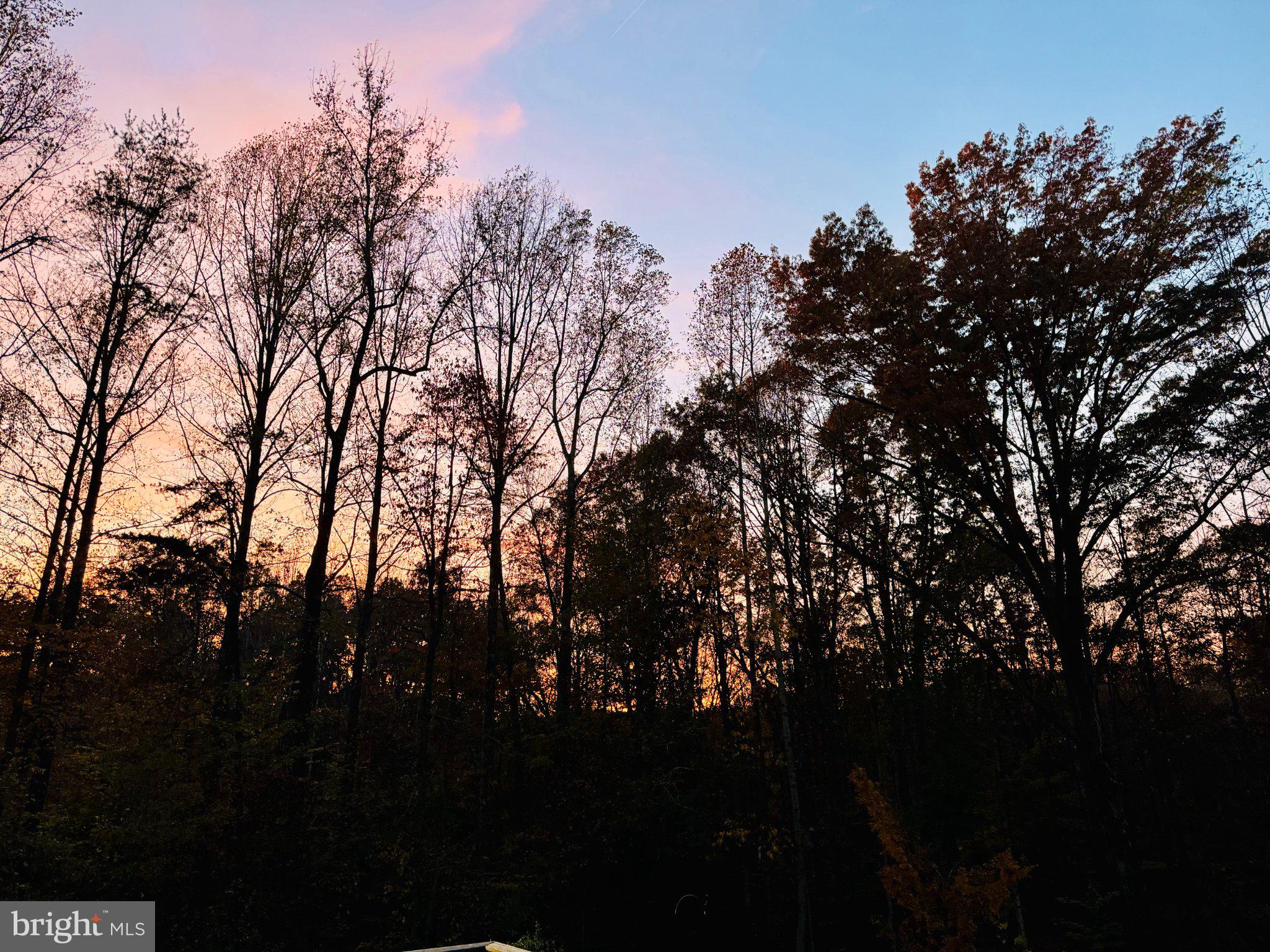 230 Richards Ferry Road Fredericksburg, VA 22406 - Photo 92 of 96 Twilight whispers through the trees.