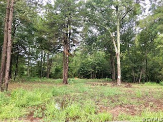 0 Monte Verde Road Center Cross, VA 22437 - Photo 1 of 3 3 Bedroom Conventional building site on 3.97 Acres