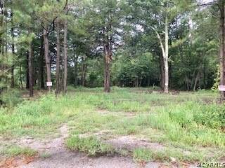 0 Monte Verde Road Center Cross, VA 22437 - Photo 2 of 3 Gallery Image 2