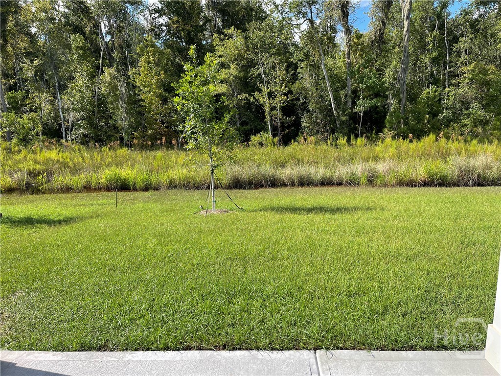 146 Como Drive Pooler, GA 31322 - Photo 17 of 23 Private Backyard