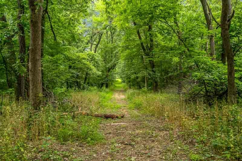 9189 Pomeroy Road Rockton, IL 61072 - Photo 33 of 34 a backyard of a house with lots of green space