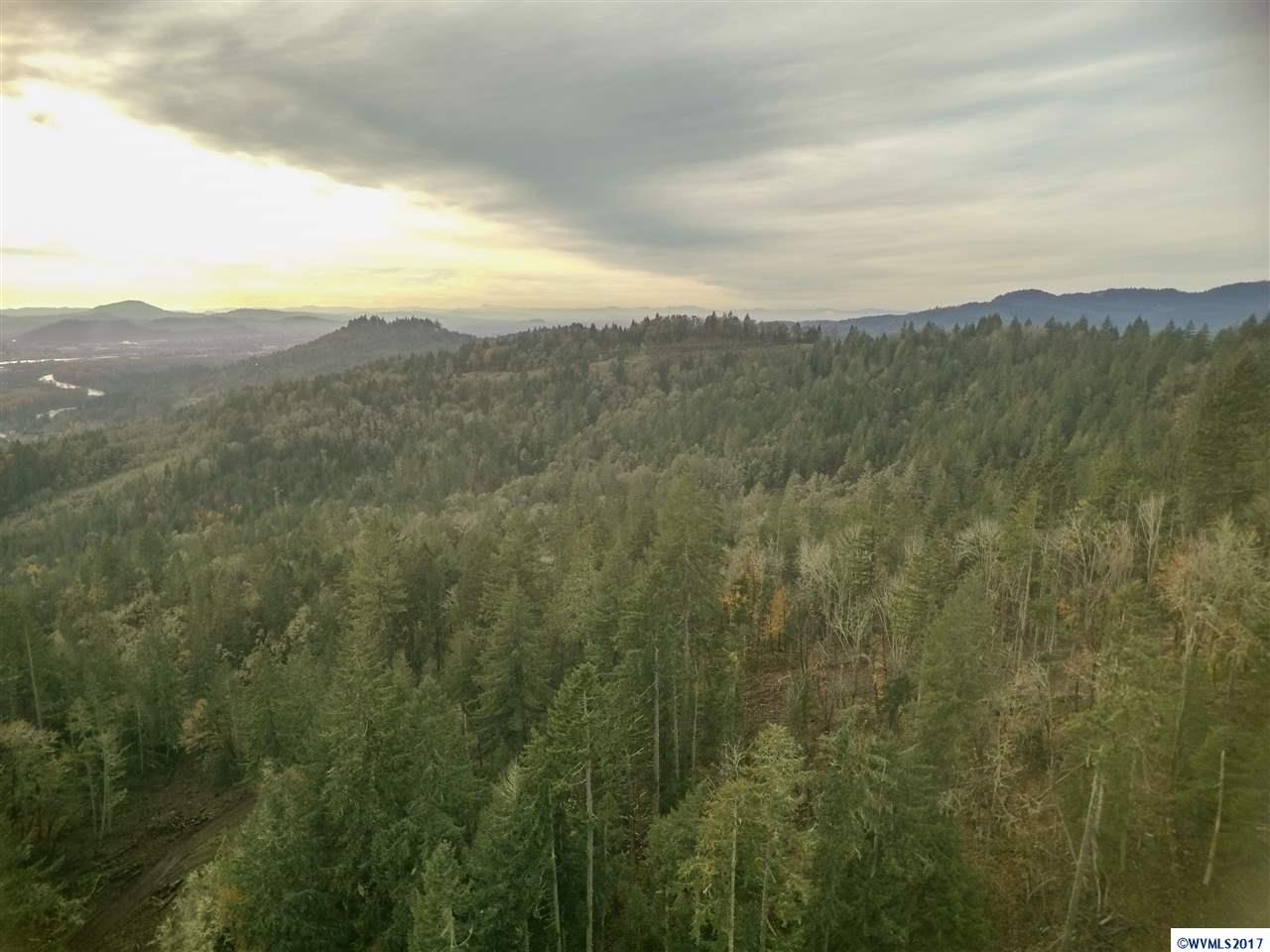 Camp Creek Springfield, OR 97478 - Photo 14 of 32 a view of a city with mountains in the background
