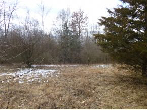 11761 19B Road Argos, IN 46501 - Photo 12 of 13
