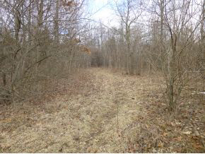 11761 19B Road Argos, IN 46501 - Photo 10 of 13