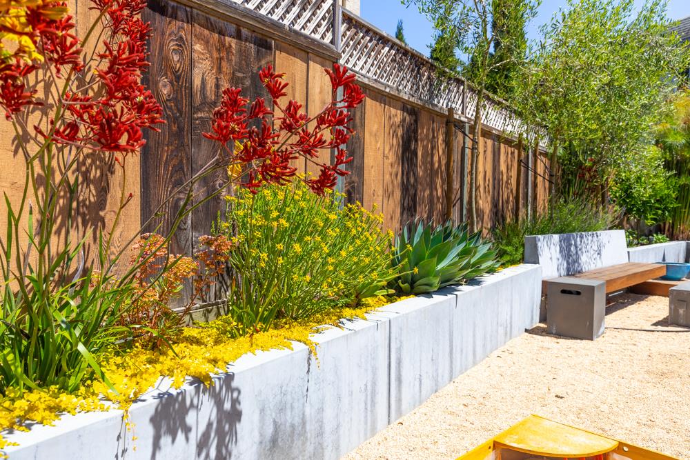 220 Aptos Beach Drive Aptos, CA 95003 - Photo 17 of 21 a view of a backyard with plants