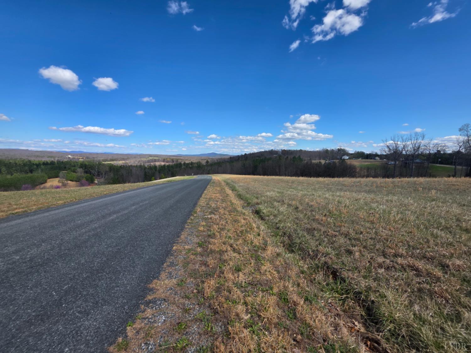 0 Skyline Road Appomattox, VA 24522 - Photo 17 of 21