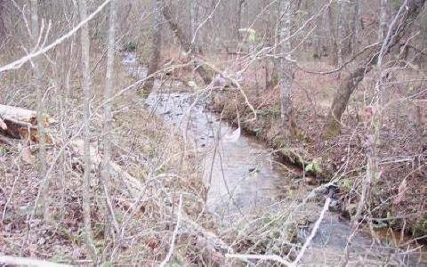 Hawks Claw Road Morganton, GA 30560 - Photo 1 of 1 Main View