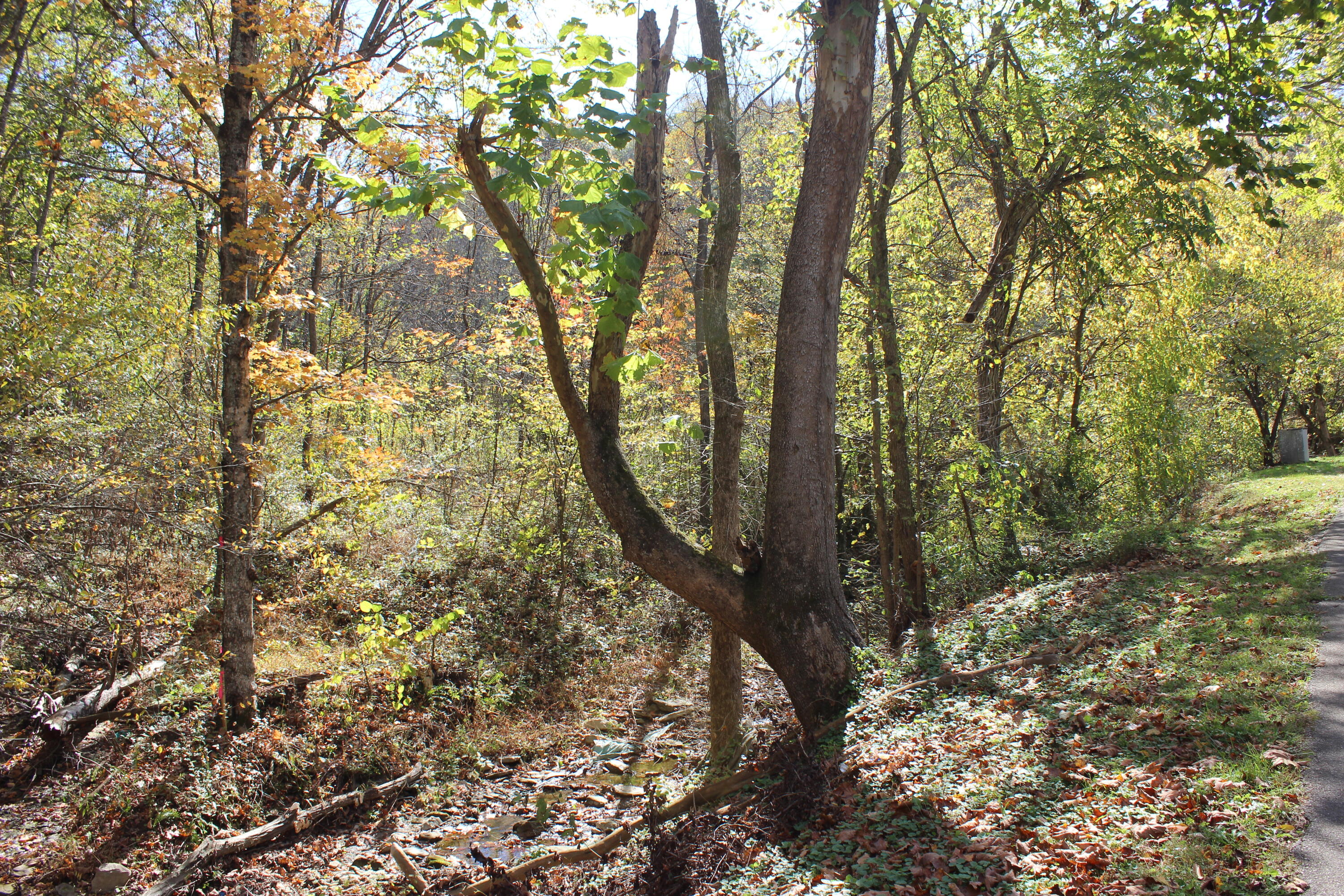 683 Adams Branch Road Frenchburg, KY 40322 - Photo 24 of 26 14