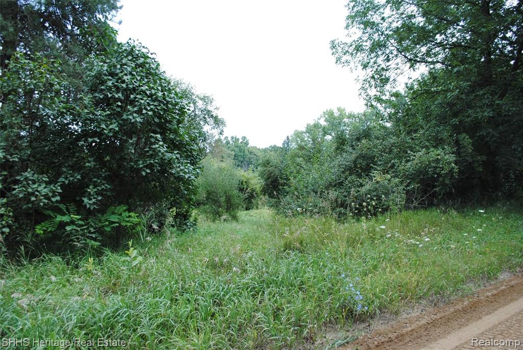 0 Wasson Road Gregory, MI 48137 - Photo 2 of 7