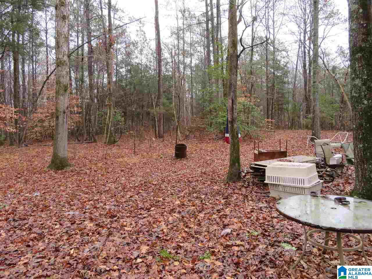138 Cedar Grove Road West Blocton, AL 35184 - Photo 16 of 44