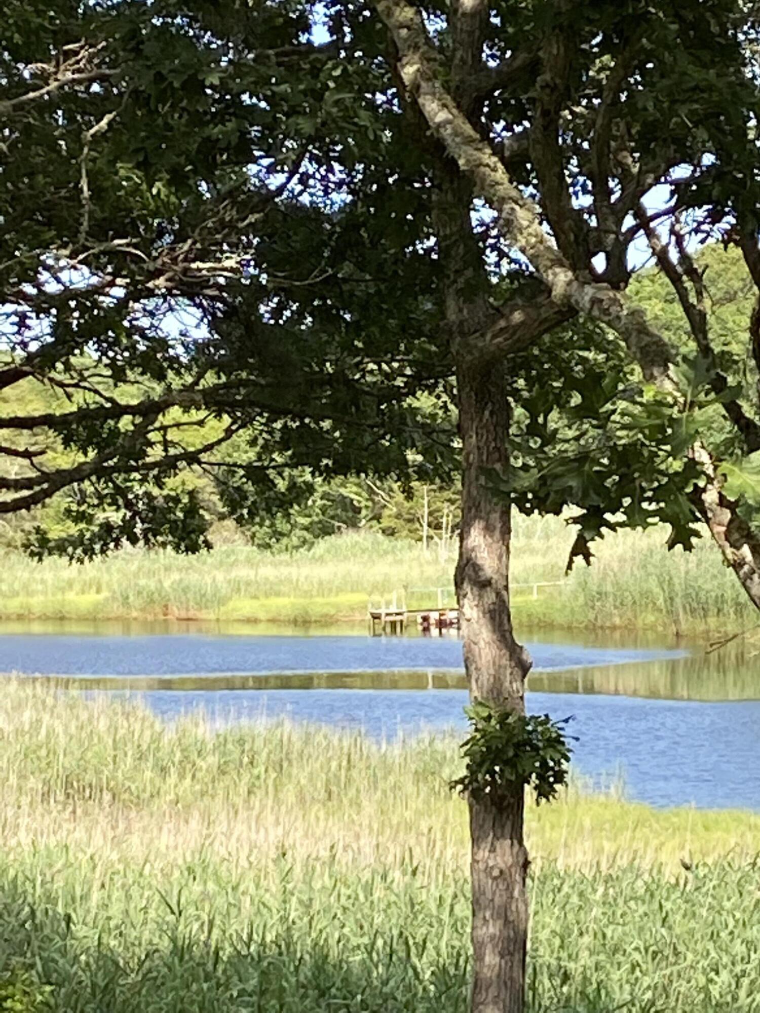 108 Waterside Drive Centerville, MA 02632 - Photo 4 of 64 IMG_0372