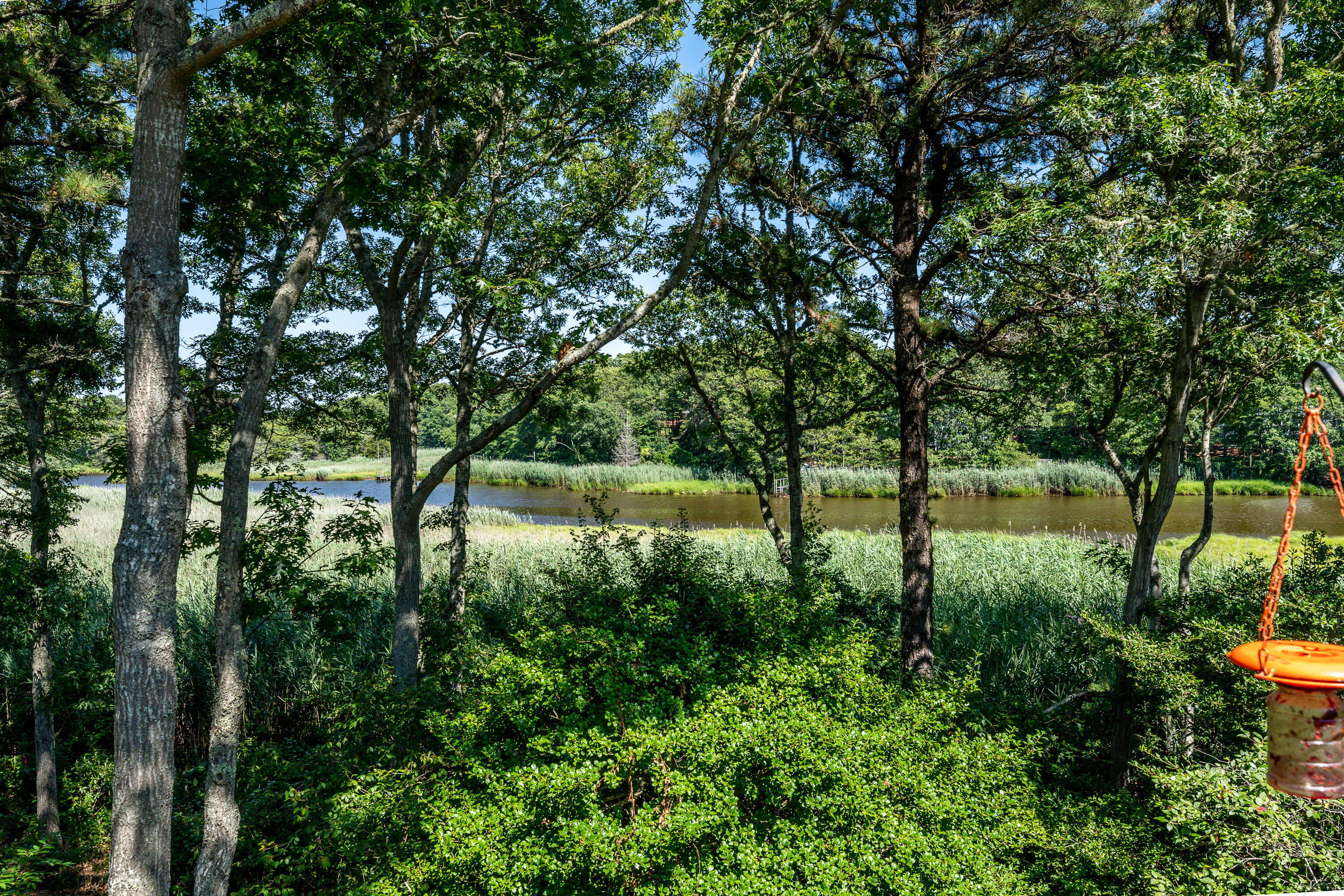 108 Waterside Drive Centerville, MA 02632 - Photo 45 of 64 a view of backyard with large trees