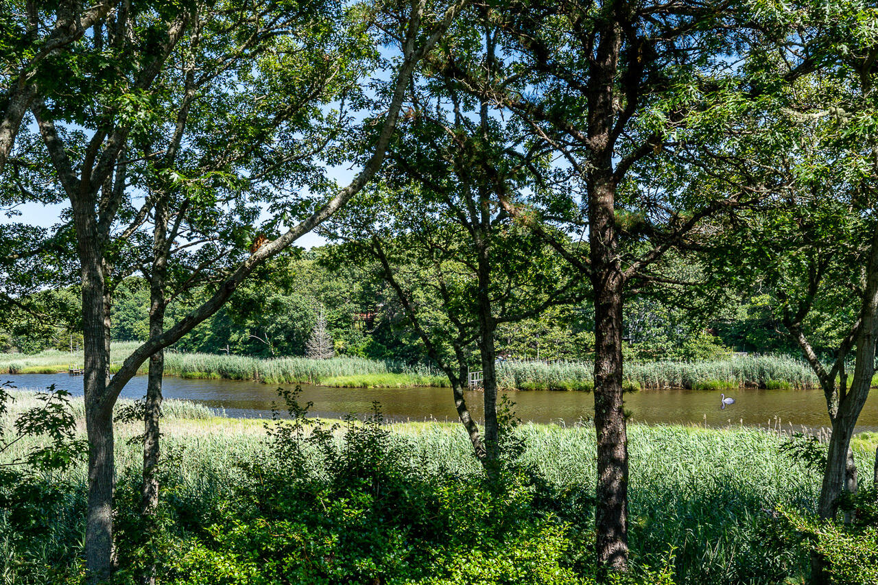 108 Waterside Drive Centerville, MA 02632 - Photo 5 of 64 a view of lake with a tree